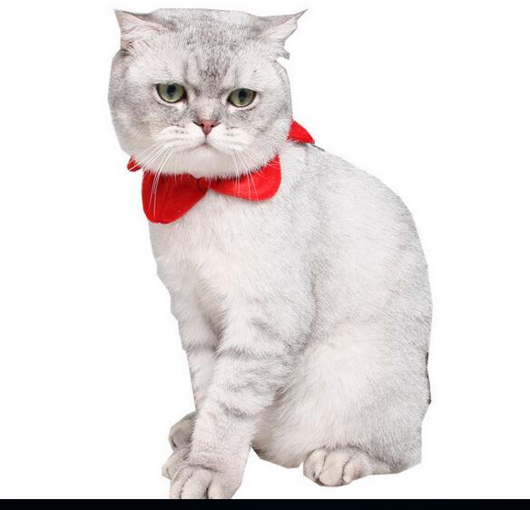 50Pcs/Lot Wholesale Halloween/Christmas Lovely Pet Collar/Scarf Cosplay Clothes Pet Costumes Dog Puppy Cat Supply