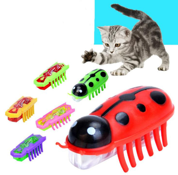 DHL 500pcs 2019 High Quality Colorful Electronic Insects Mini Mechanical Insect Cat Toy SN2780
