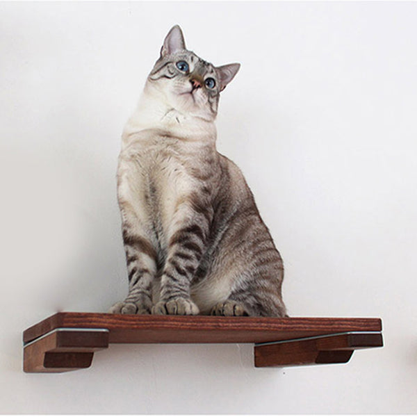 Wall-mounted Cat Solid Shelf Climbing Frame Cat Tree Hammock Pet Furniture Play House
