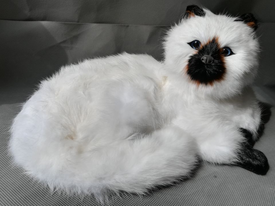 lifelike toy large 30x20cm white cat with black mouth, plastic&furs lying cat hard model home decoration Xmas gift w2085
