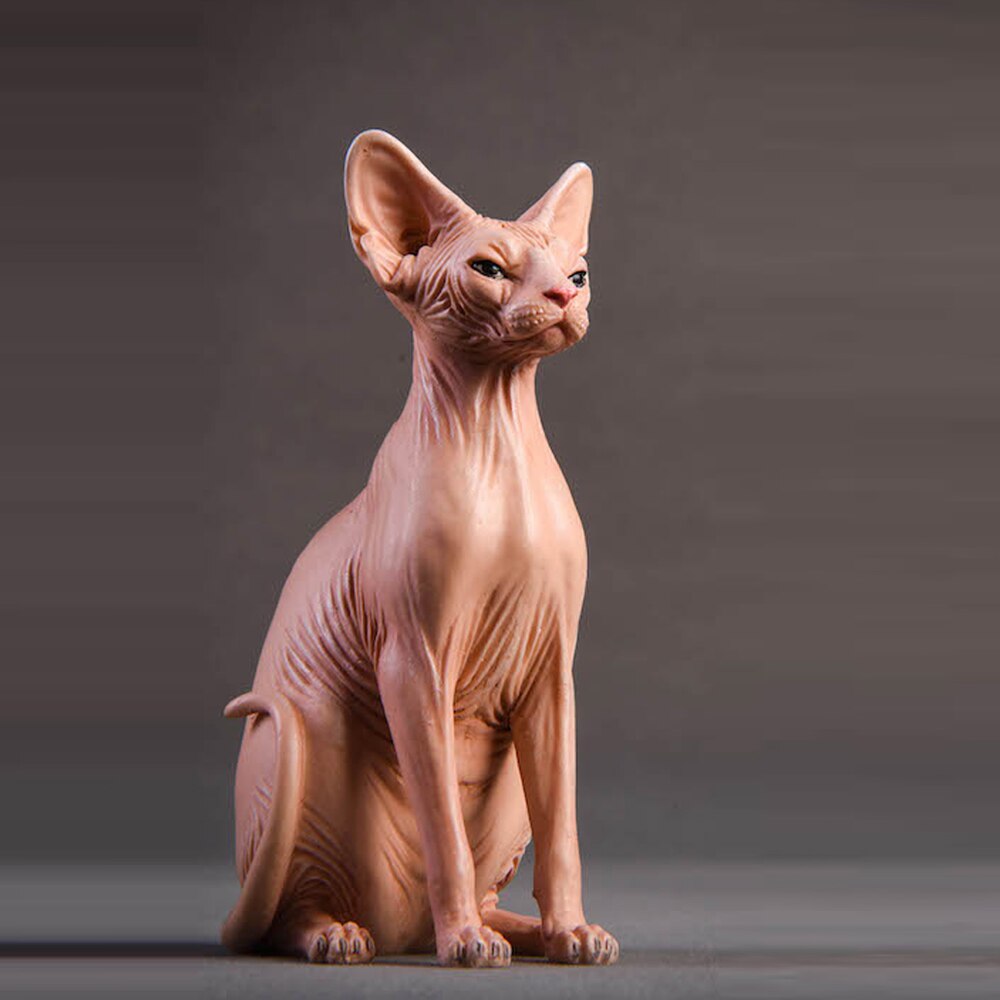 Soldier Element 1/6 Soldier Scene Accessories Canadian Hairless Cat Model Suite