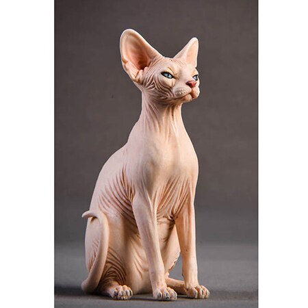 Soldier Element 1/6 Soldier Scene Accessories Canadian Hairless Cat Model Suite