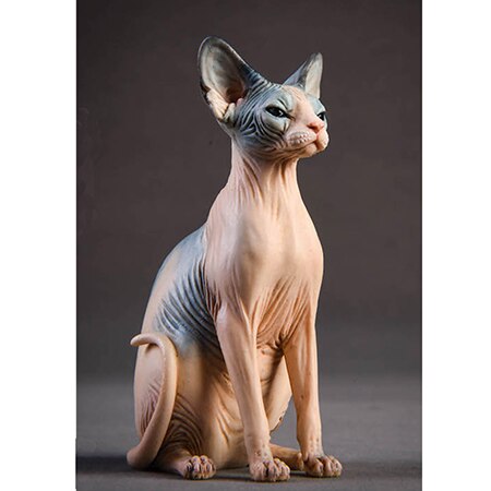 Soldier Element 1/6 Soldier Scene Accessories Canadian Hairless Cat Model Suite
