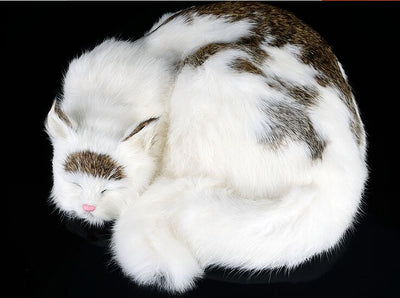 big simulation sleeping cat model plastic&fur cute natural colour cat toy home decoration gift about 29x31x10cm t2997