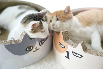 Cat scratch board round nest toy grinding cat nails