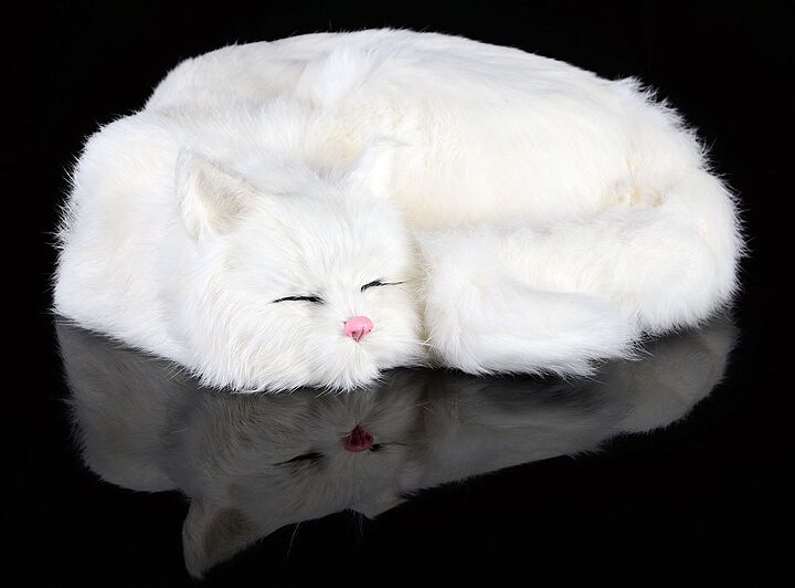 big simulation sleeping cat model plastic&fur white cat toys home decoration gift about 29x31x10cm