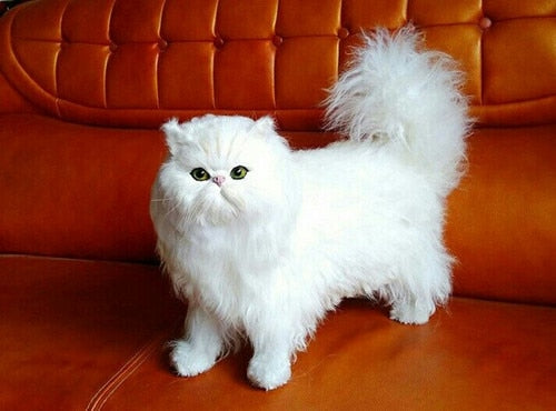 white simulation cat polyethylene & fur standing Persian model gift about 45x35cm172